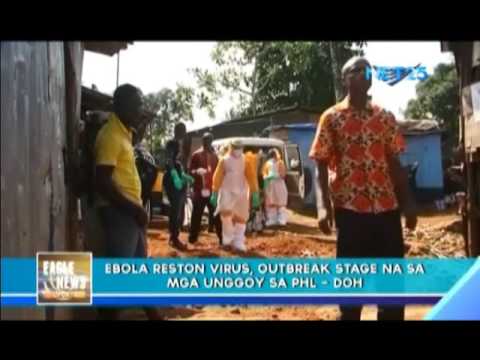 Ebola Reston virus in monkeys enter outbreak stage in Philippines ...